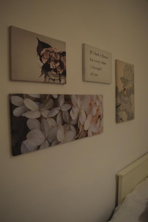 Wish Suite Salado De Sevilla エクステリア 写真